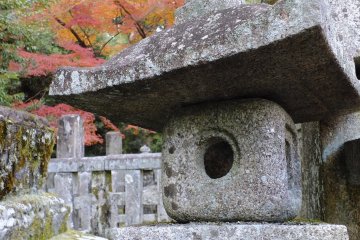 <p>The cemetery had a lot of moss</p>