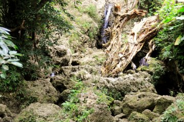 <p>The tiny waterfall</p>