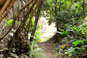 <p>Inviting paths head off in all directions.</p>