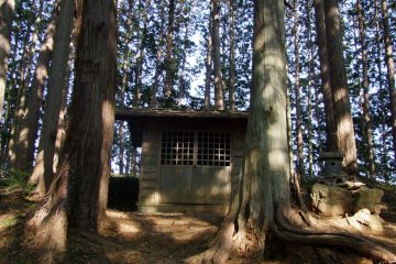 <p>A tiny shrine on Mt. Monomi</p>