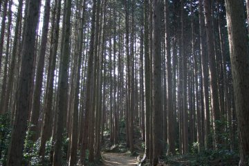 <p>Good at making you feel small</p>