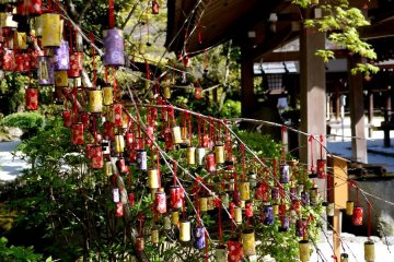 Festival decorations