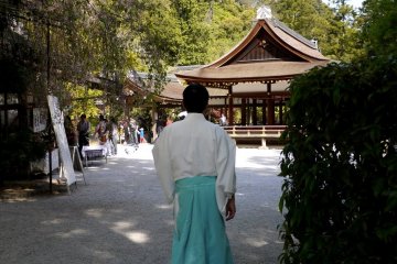 A priest in blue and white robes hurries to his duties.