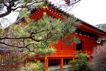 <p>Pine boughs contrast with vermilion paint</p>