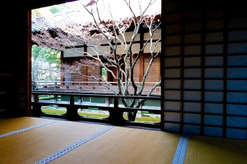 <p>Looking out at the garden from the dark room inside</p>