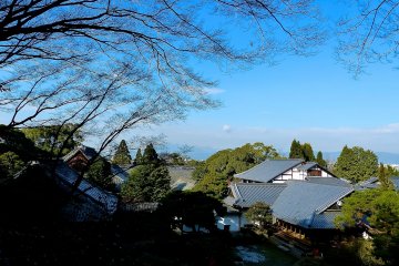 <p>The entire temple complex viewed from the top of the hill</p>