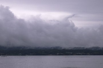 <p>Shizugawa Bay</p>