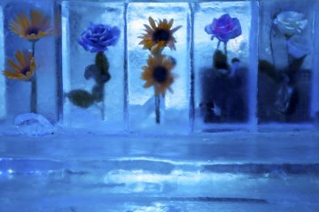 <p>Everything inside (the walls, bar, tables, benches...)&nbsp;is made out of pure ice.</p>