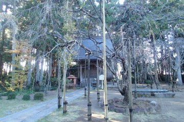 <p>Taman kuil</p>
