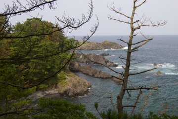 <p>The view from the summer camp ground.</p>