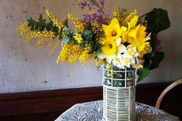 Hand picked from the farm itself