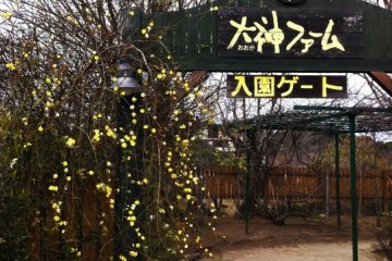 The farm's entrance