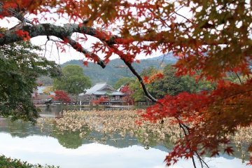 <p>Viewing Daikaku Temple from the opposite shore</p>