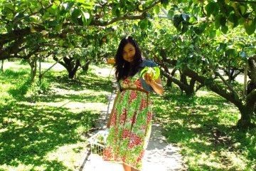 Pear-hunter with her catch