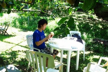 Working hard