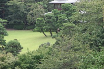 View from Hotel room of the garden