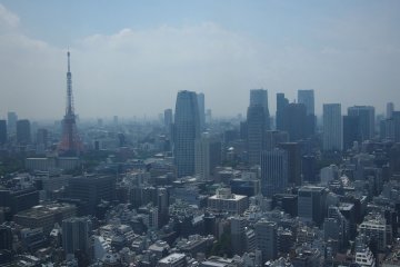 <p>Views from the hotel room during the day</p>