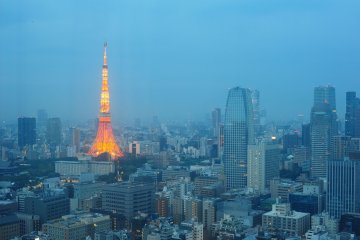 Park Hotel Tokyo, Shinbashi