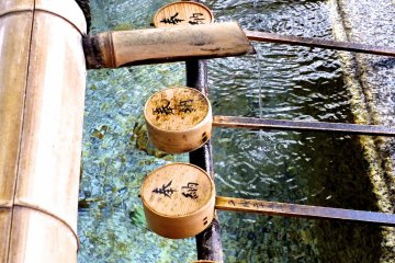 <p>One of a few purification fonts</p>