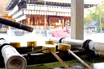 <p>In the early morning, before the large crowds begin to arrive</p>