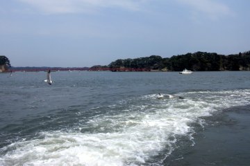 <p>View of Fukuurajima from the bay cruise tour.</p>