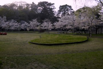 <p>A small park on the Northeast side of the island with cherry blossoms and special grasses.</p>