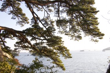 <p>Another lookout point along the footpaths.</p>