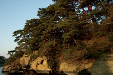 <p>Trees on a promontory pointing back towards the city at sunset.</p>