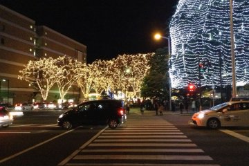 Crosswalk between Kotodai Park and the main attraction: the illuminated zelkova&nbsp;trees.