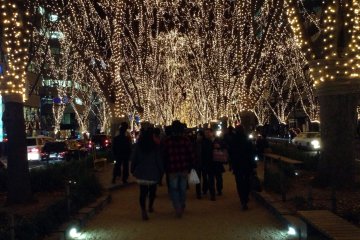 The street has a center divide that can be walked on for visitors, taking you right under the lights.&nbsp;