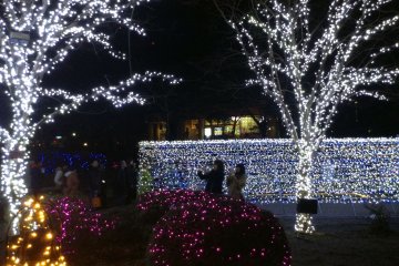 Another angle of Kotodai Park.&nbsp;