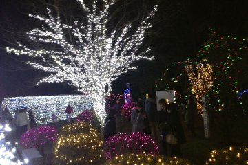 Kotodai Park is aglow through the night.&nbsp;