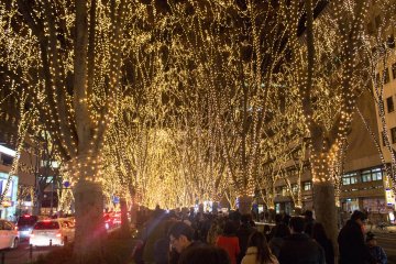 Inside the Tunnel of Illumination on Jozenji-dori.