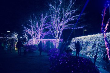 A section of Kotodai Park&nbsp;illuminated in a winter blue.&nbsp;