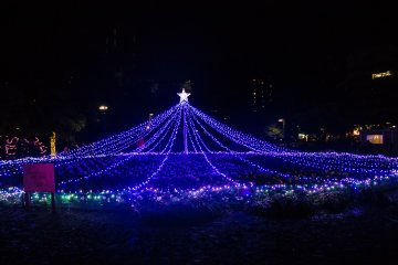 A tree not only decorated with lights, but made of them.&nbsp;