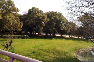 The Kofun is next to Daisen Park in Mozu Sakai City