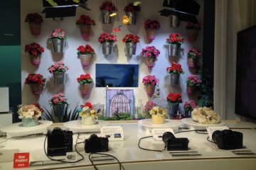 <p>You can test&nbsp;your photography skills with the camera models and the flower set-up; good for trying out the macro photography capabilities of the devices.</p>
