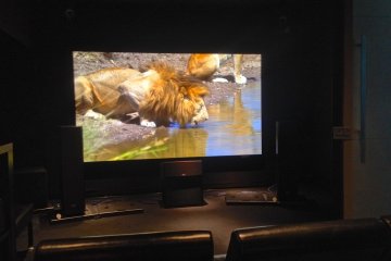 <p>Crisp images at high resolution&nbsp;and awesome audio systems.&nbsp;The theater makes sure that a motivated buyer wants to get his hands on these gadgets on the way out.</p>