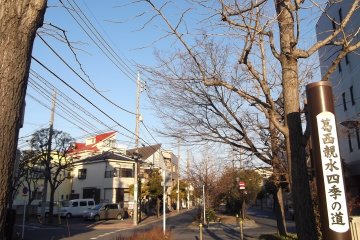 <p>Shinsui shiki no michi, leading away from the station</p>