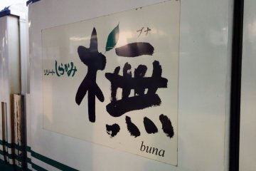 "Buna" is the word for the Japanese beech tree. There are thousands of Japanese beech trees within the Shirakami Sanchi World Heritage Site.