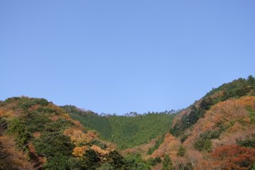 <p>Colors spreading across the landscape</p>