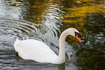 <p>The atmosphere is quite and peaceful &ndash; it doesn't feel like a tourist trap!</p>