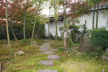 Bamboo garden, Narita at Inuyama.