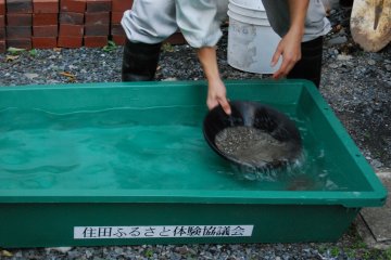 <p>Rotate the bowl or shake gently from side-to-side letting the denser materials, including gold, settle at the bottom.</p>