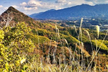The view of Eryo-san and Takanawa-san