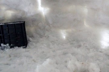 <p>Inside our igloo. You can see ours has a few gaps. We were glad we slept inside log houses and not in our own creation that cold night.&nbsp;</p>