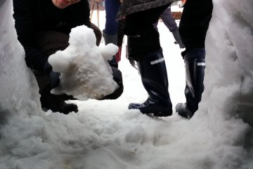 <p>Looks like we have a visitor.&nbsp;</p>