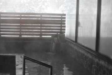 Outdoor pool overlooking the Taiga Forest