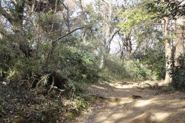 A relatively easy hike.