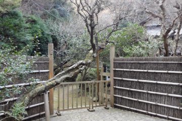 Near the end of the course, these old style Japanese houses have nicely maintained bamboo fences, and thatched roofs covered with moss and lichen.